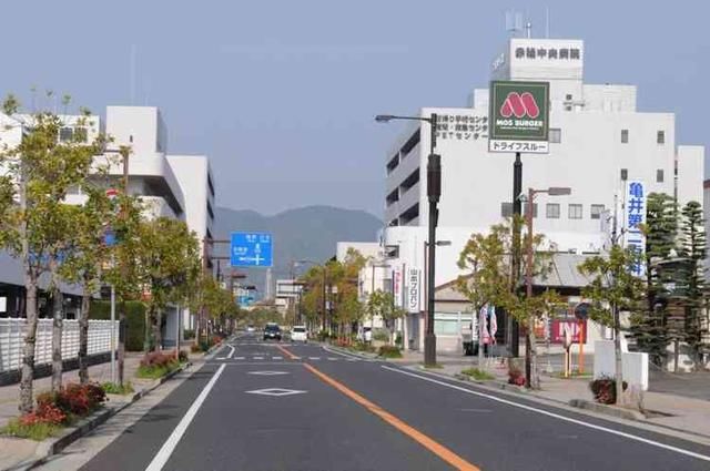 交通信號燈